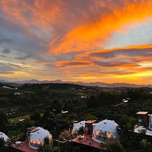 Đamb'ri Top View Farmstay&Glamping